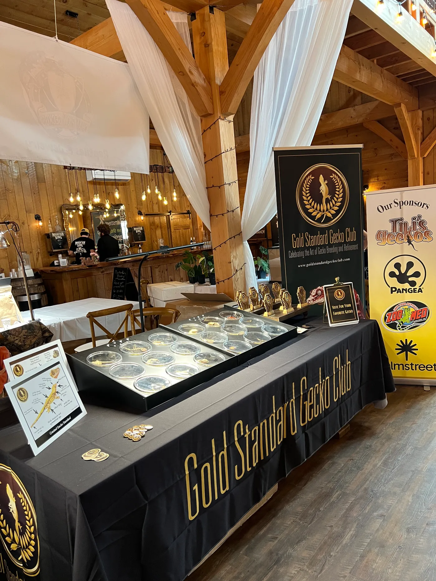 Gold Standard Gecko Club show table