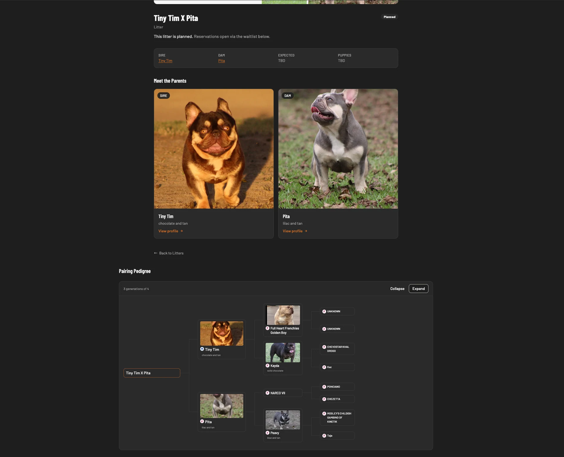 A litter page on the Texas Top Notch Frenchies site showing the sire and dam with photos, plus an auto-generated four-generation pedigree tree below.